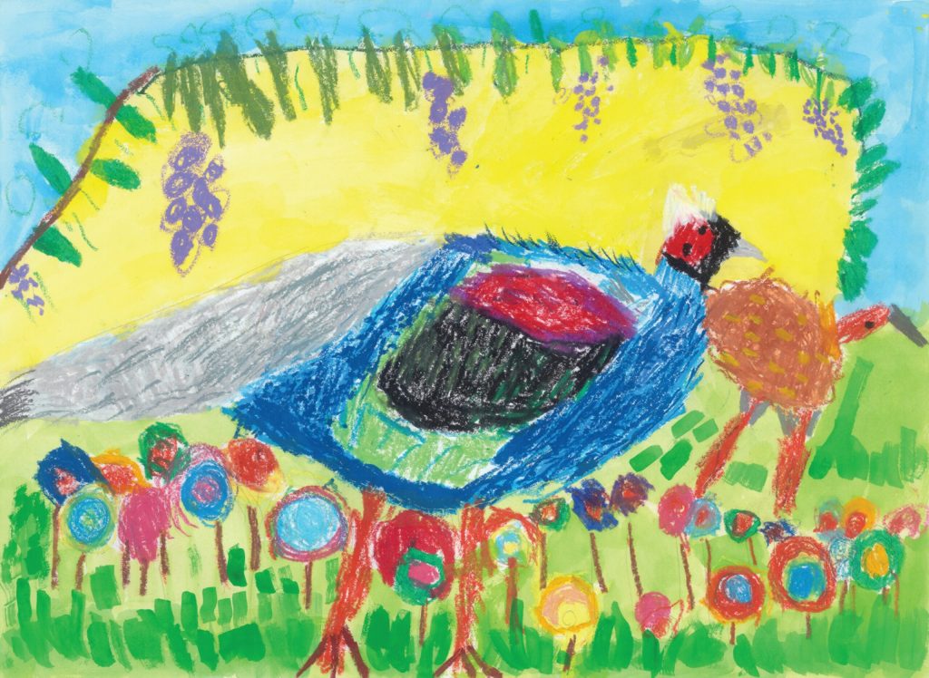 跟著藍腹鷴去散步