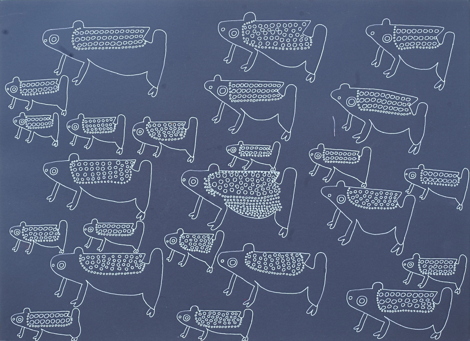 王哲西 滿福蛙蛙