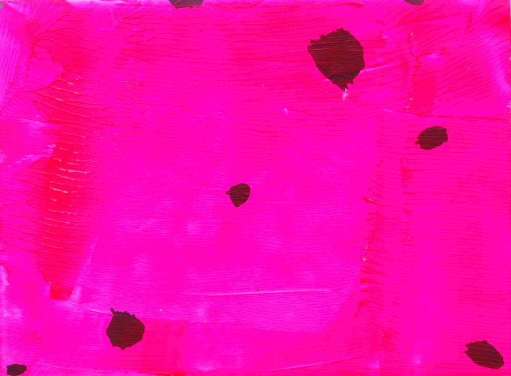 天竺鼠爭搶堅果